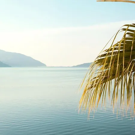 The Beachfront Adult Only 16 Hotell 3*