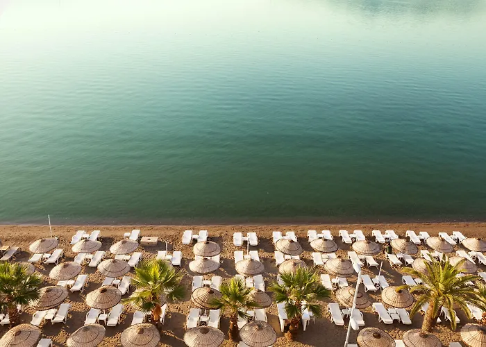 The Beachfront Adult Only 16