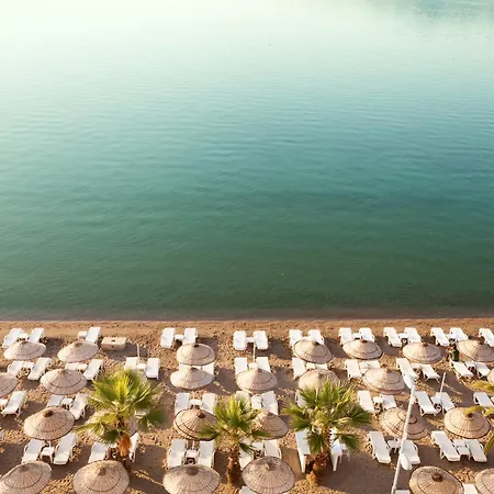 The Beachfront Adult Only 16 3*