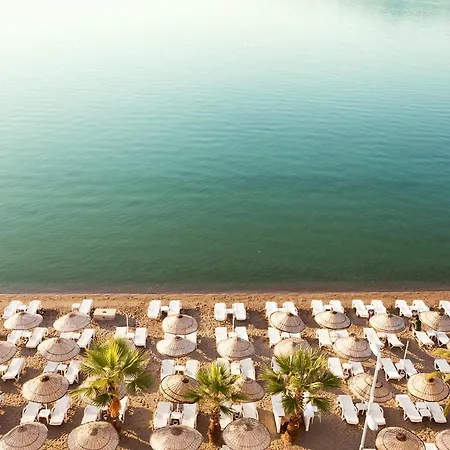 호텔 The Beachfront Adult Only 16 말마리스