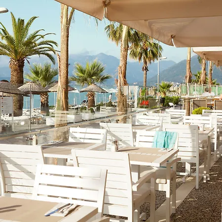 فندق The Beachfront Adult Only 16