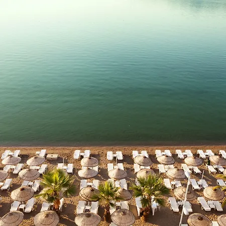 The Beachfront Adult Only 16