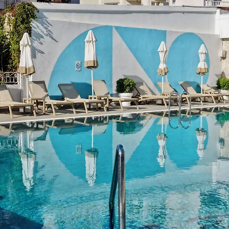 فندق The Beachfront Adult Only 16