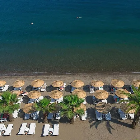 The Beachfront Adult Only 16 مرمريس