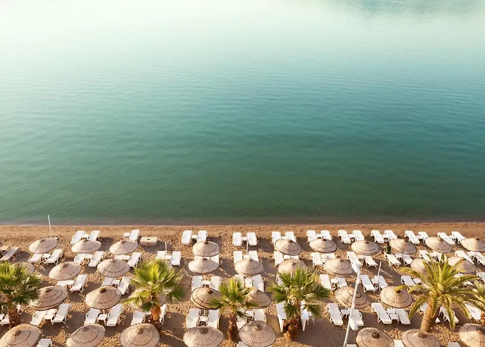 The Beachfront Adult Only 16 3*