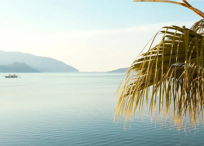 The Beachfront Adult Only 16 Отель 3*